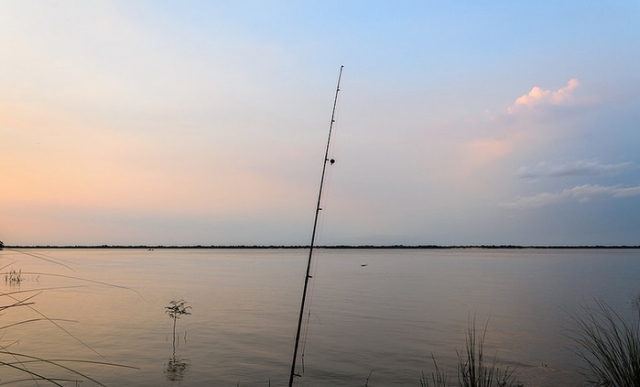 tardes de pesca